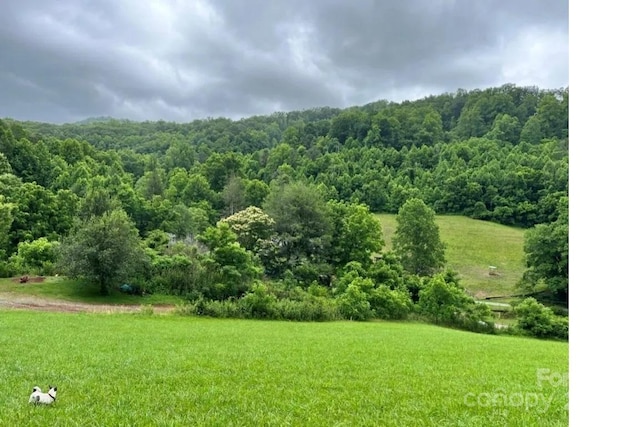 Listing photo 3 for 0 Roscoe Lewis Rd, Sylva NC 28779