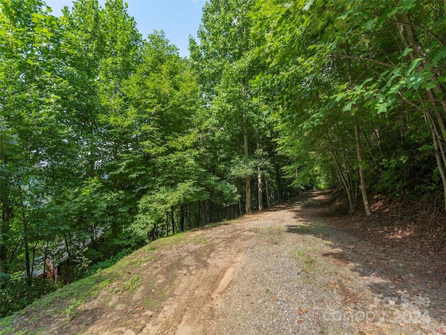 Listing photo 2 for 00 Pitch Fork Cv Unit 525, Waynesville NC 28785