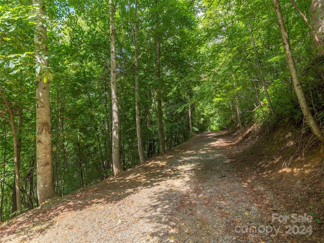 Listing photo 3 for 00 Pitch Fork Cv Unit 525, Waynesville NC 28785