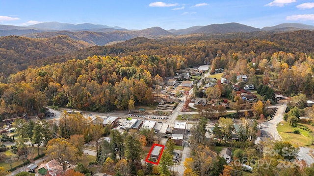 birds eye view of property featuring a mountain view