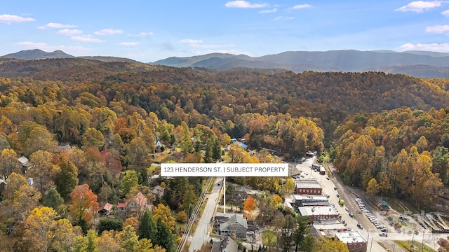 aerial view with a mountain view