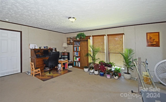 office space featuring carpet flooring, a textured ceiling, and ornamental molding