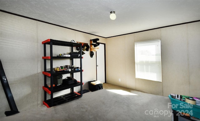 interior space featuring crown molding, carpet floors, and a textured ceiling