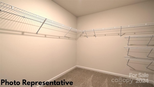 spacious closet featuring carpet floors