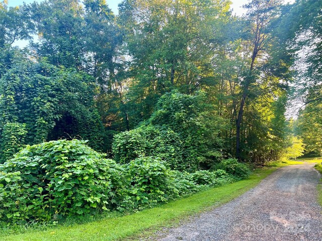 0 Bonnie Ln, Union Mills, NC 28167 - photo 5