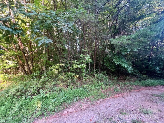 0 Bonnie Ln, Union Mills, NC 28167 - photo 7