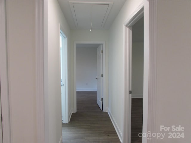 hallway featuring dark hardwood / wood-style flooring