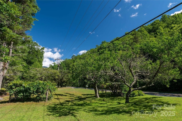 view of community featuring a lawn