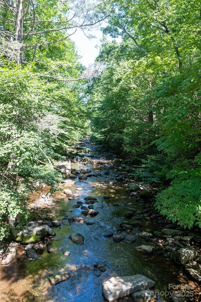 view of local wilderness