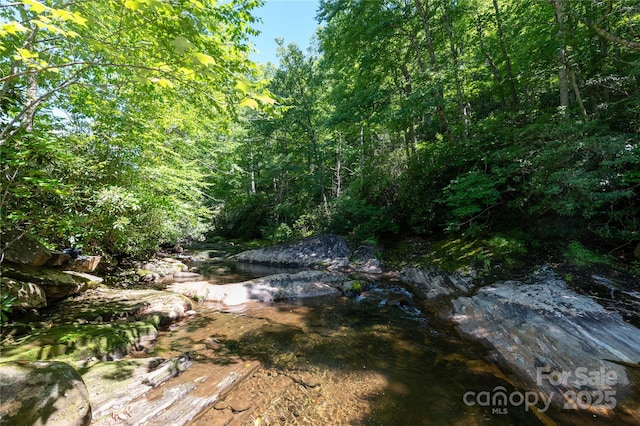 view of local wilderness