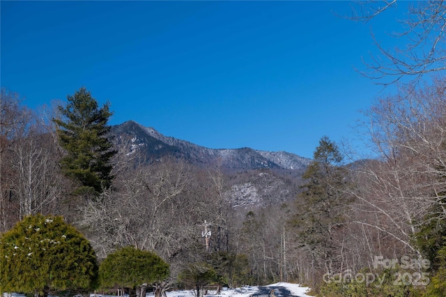 property view of mountains