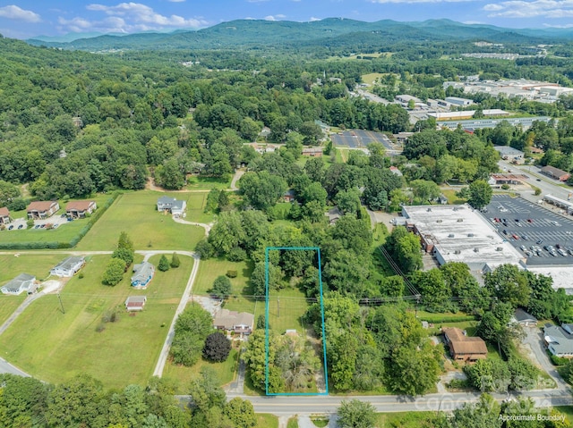 birds eye view of property with a mountain view