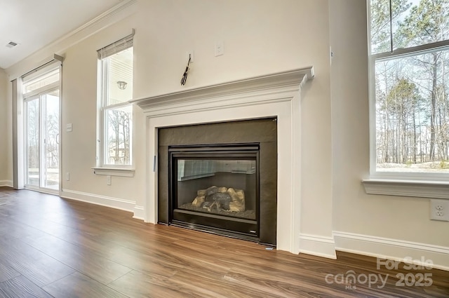 room details featuring a glass covered fireplace, baseboards, and wood finished floors