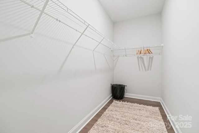 walk in closet with dark hardwood / wood-style floors