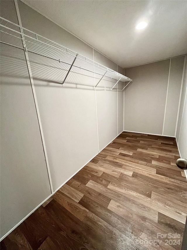 walk in closet with hardwood / wood-style floors