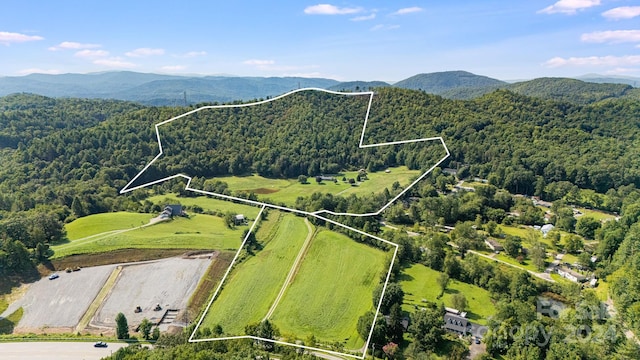 birds eye view of property with a mountain view