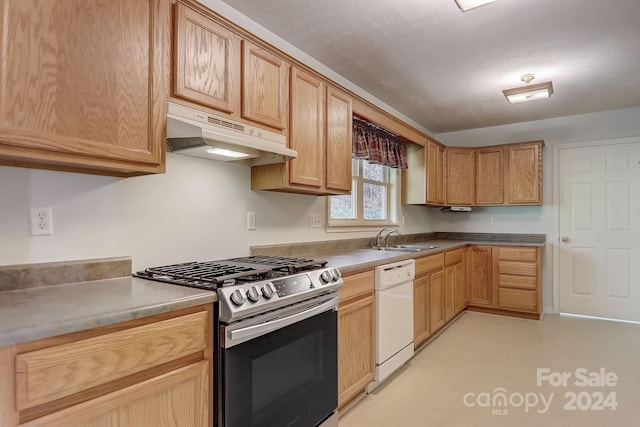 kitchen with stainless steel gas stove, dishwasher, and sink