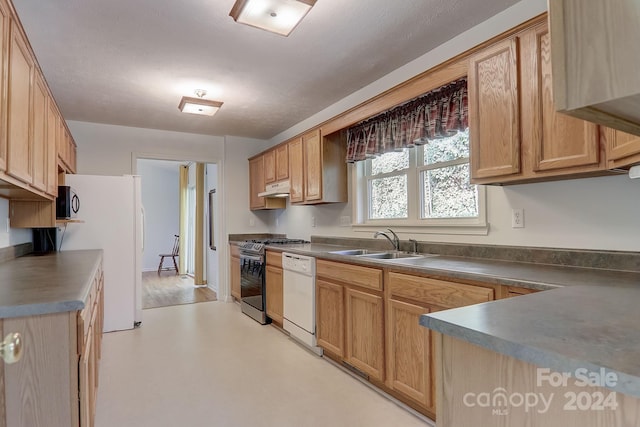 kitchen featuring sink, white appliances, and light hardwood / wood-style flooring