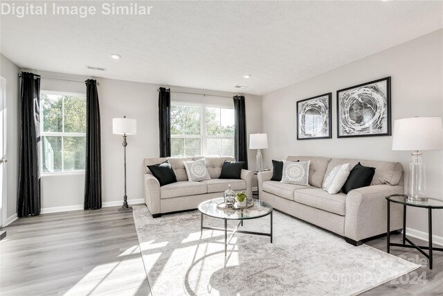 living room featuring a wealth of natural light and light hardwood / wood-style flooring