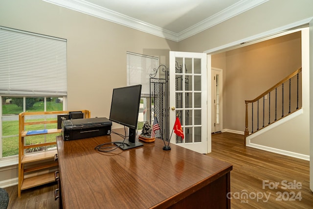 office area featuring crown molding and dark hardwood / wood-style flooring