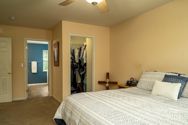 bedroom with carpet flooring, a spacious closet, ceiling fan, and a closet