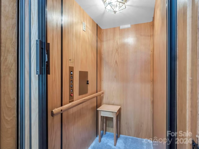 room details featuring carpet, elevator, and wooden walls