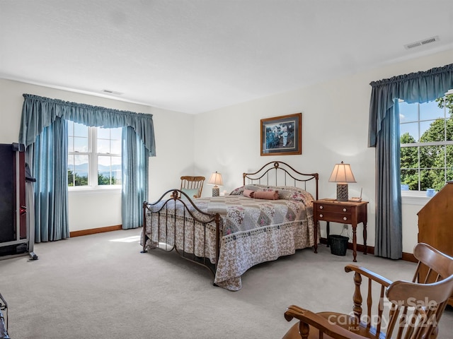 bedroom featuring carpet floors and multiple windows