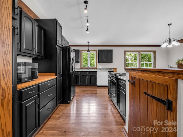 kitchen with a healthy amount of sunlight, dark hardwood / wood-style floors, track lighting, and black appliances