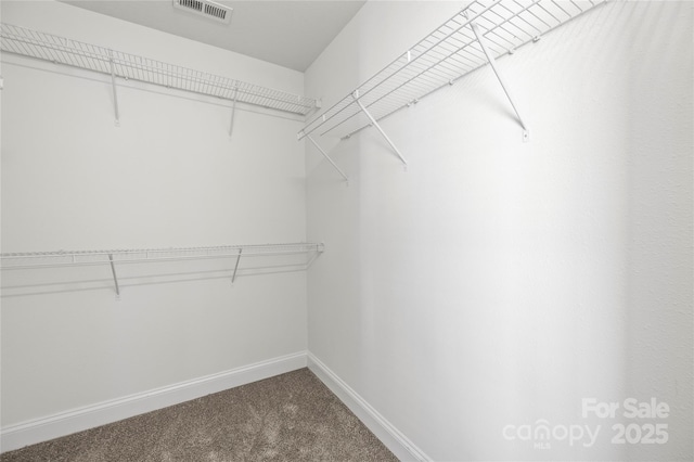 spacious closet featuring carpet flooring