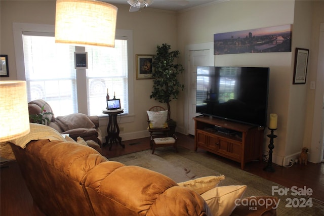 living room with wood-type flooring and ornamental molding