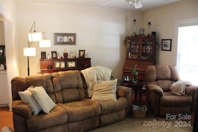 living room featuring ornamental molding, a wealth of natural light, and wood-type flooring