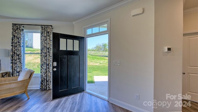 foyer entrance with ornamental molding and hardwood / wood-style floors