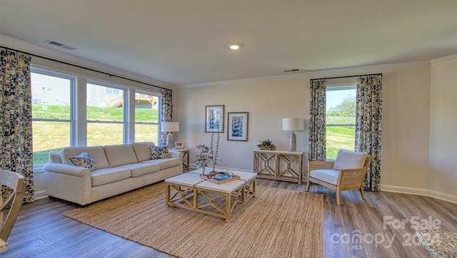 living room featuring ornamental molding and hardwood / wood-style floors