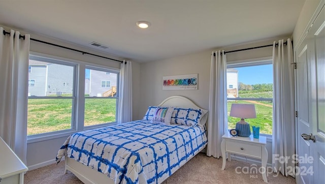 bedroom with carpet flooring