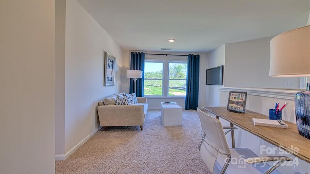 interior space with light colored carpet