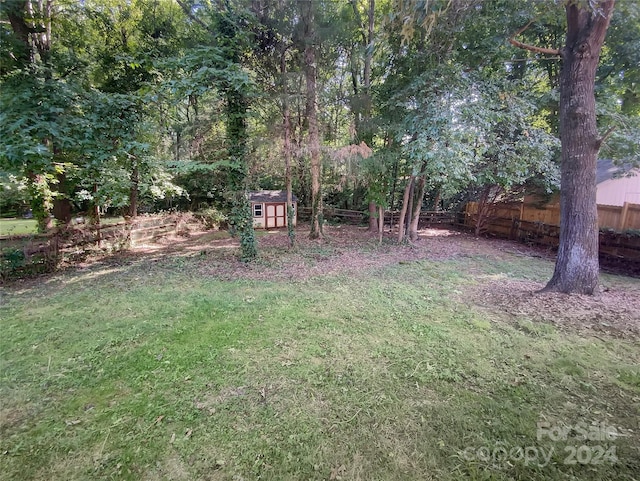 view of yard with a storage shed