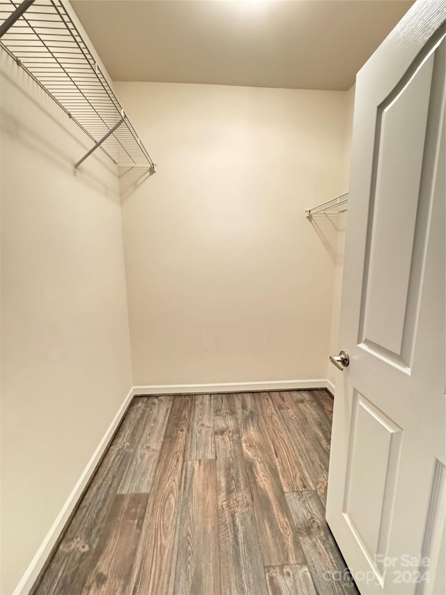 walk in closet featuring wood finished floors