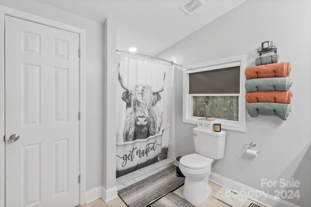 bathroom with tile patterned flooring, toilet, and vaulted ceiling