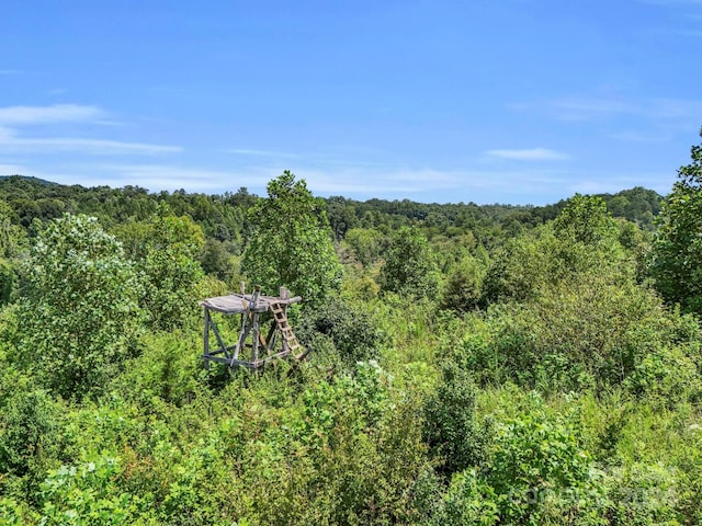 view of local wilderness featuring a wooded view