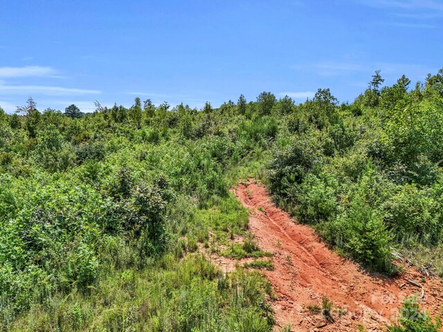 view of local wilderness featuring a forest view