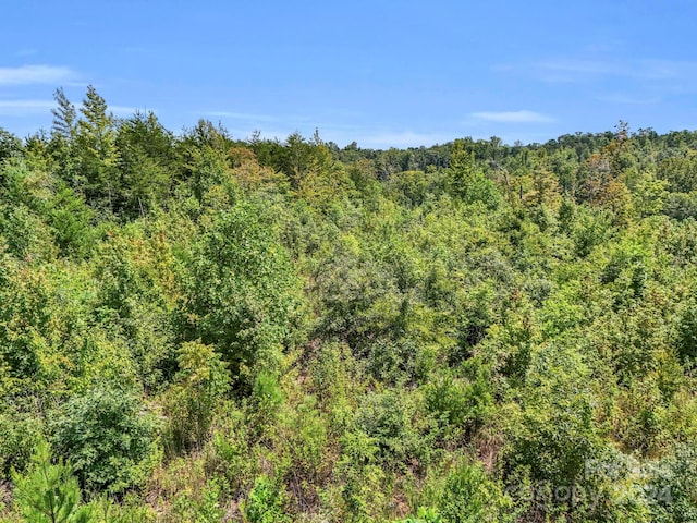 view of local wilderness with a view of trees