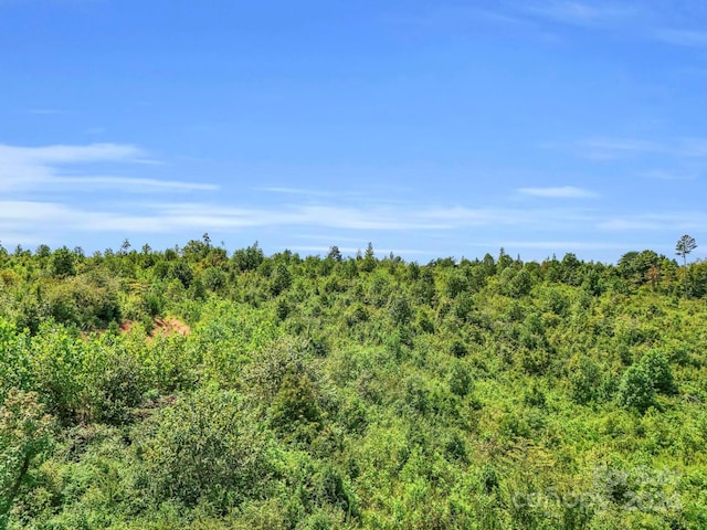 view of nature featuring a forest view