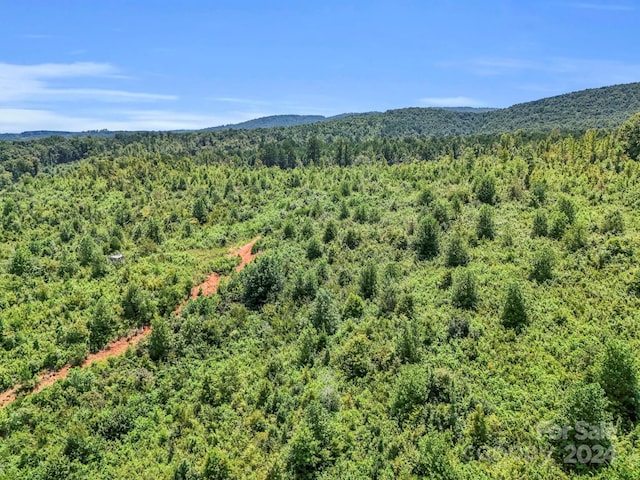 bird's eye view with a mountain view and a view of trees