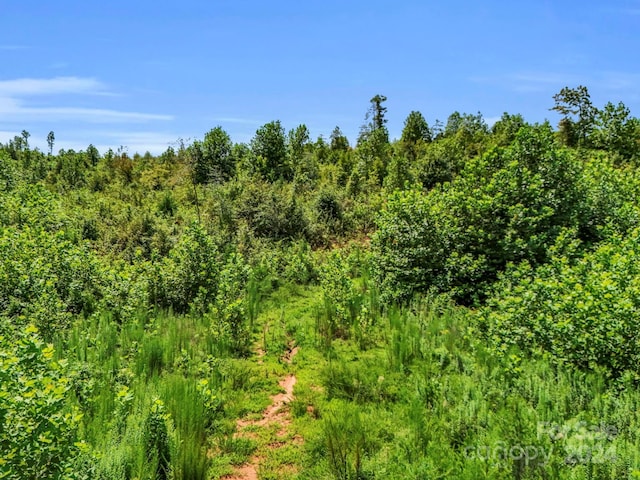 view of landscape with a forest view