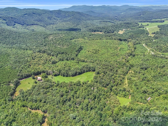 bird's eye view featuring a mountain view and a wooded view