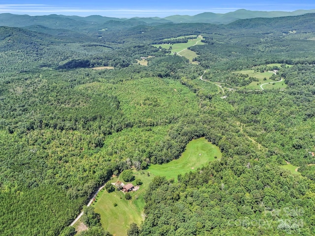 birds eye view of property featuring a forest view and a mountain view