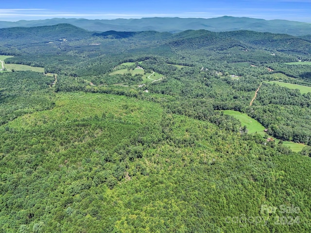 exterior space with a mountain view and a wooded view