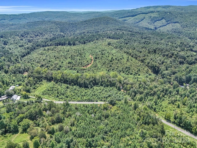 birds eye view of property with a mountain view and a view of trees