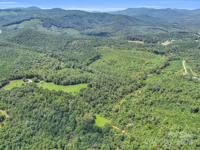 bird's eye view featuring a mountain view and a wooded view