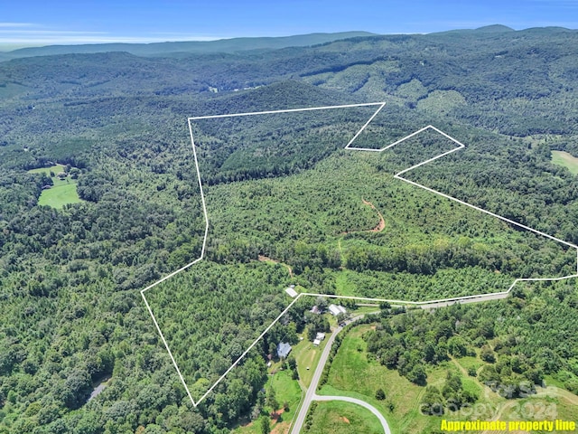 birds eye view of property featuring a forest view and a mountain view